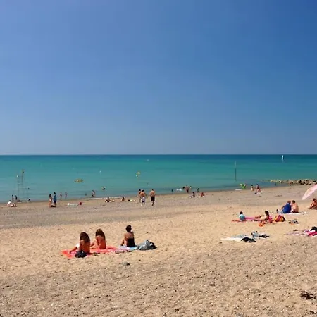 Les Sardines Proche Mer *